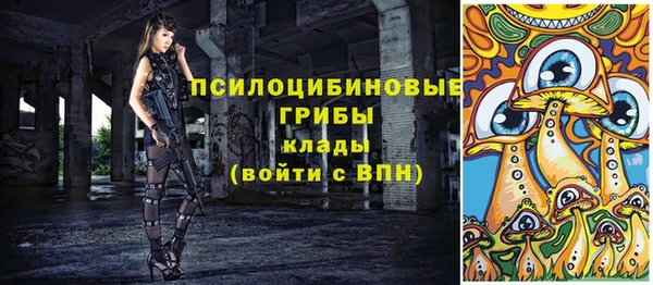 МДПВ Алексеевка