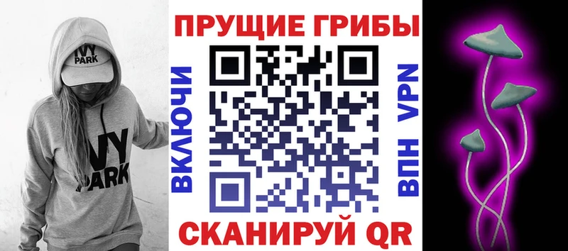 Псилоцибиновые грибы ЛСД  площадка официальный сайт  блэк спрут tor  Заполярный  купить наркоту 